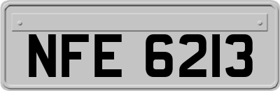 NFE6213