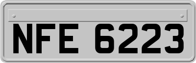 NFE6223