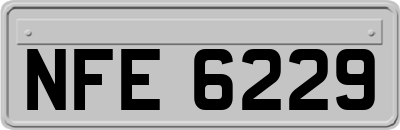 NFE6229