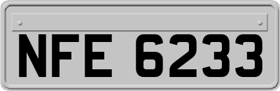 NFE6233