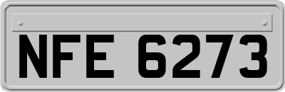NFE6273