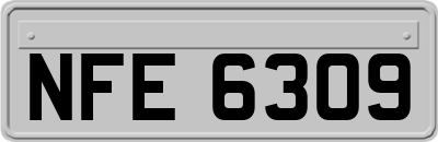 NFE6309