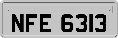 NFE6313