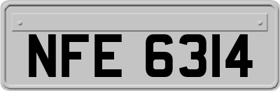 NFE6314