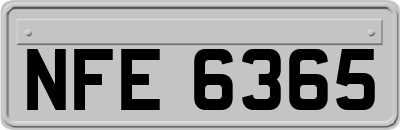 NFE6365