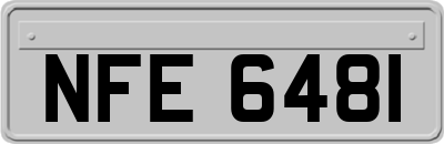 NFE6481