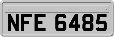 NFE6485