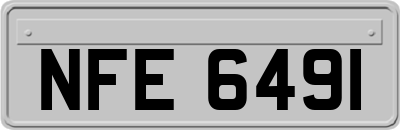 NFE6491