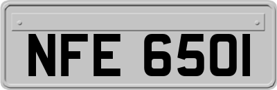 NFE6501