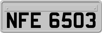 NFE6503