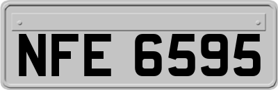 NFE6595