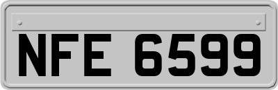 NFE6599