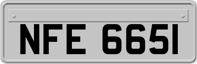 NFE6651