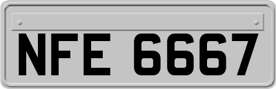 NFE6667
