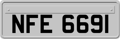 NFE6691