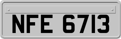 NFE6713