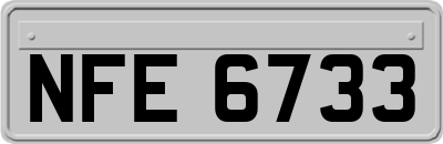 NFE6733