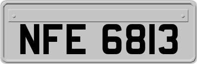 NFE6813