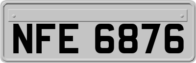 NFE6876