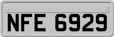 NFE6929