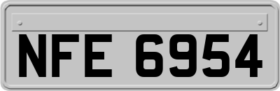 NFE6954