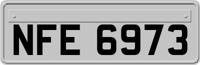 NFE6973