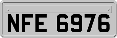 NFE6976