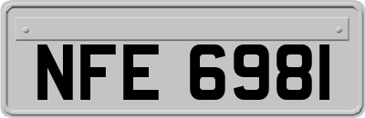 NFE6981