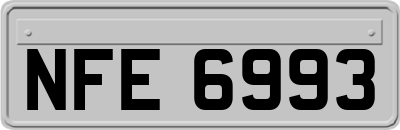 NFE6993