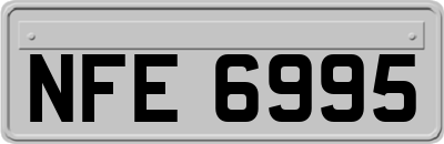NFE6995