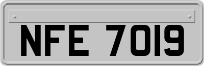 NFE7019