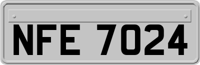 NFE7024