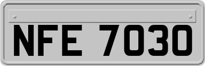 NFE7030