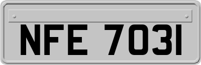 NFE7031