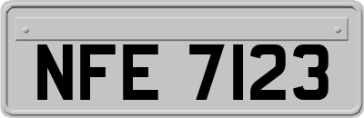 NFE7123