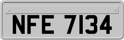 NFE7134