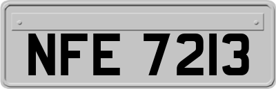 NFE7213