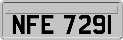 NFE7291