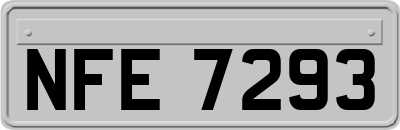 NFE7293