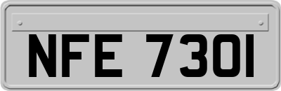 NFE7301