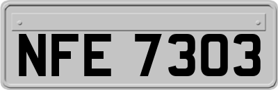 NFE7303