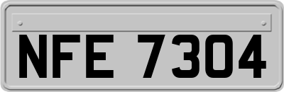 NFE7304