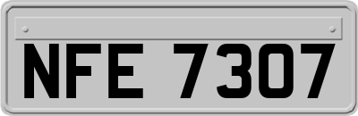 NFE7307