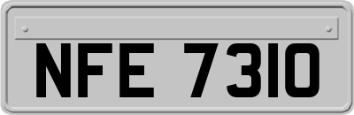 NFE7310