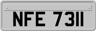NFE7311