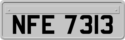 NFE7313