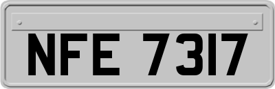 NFE7317