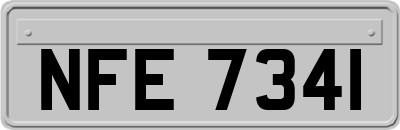 NFE7341