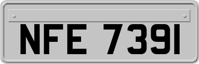 NFE7391