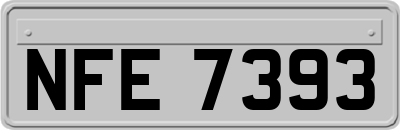 NFE7393